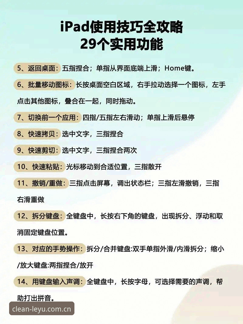 乐鱼清新简洁APP必知三件事：从下载到体验的实用指南